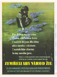 Czech poster - click to enlarge